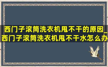 西门子滚筒洗衣机甩不干的原因_西门子滚筒洗衣机甩不干水怎么办