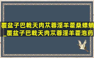 覆盆子巴戟天肉苁蓉淫羊藿桑螵蛸_覆盆子巴戟天肉苁蓉淫羊藿泡药酒