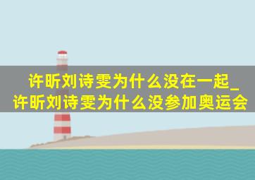 许昕刘诗雯为什么没在一起_许昕刘诗雯为什么没参加奥运会