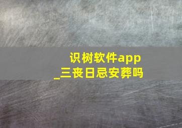 识树软件app_三丧日忌安葬吗