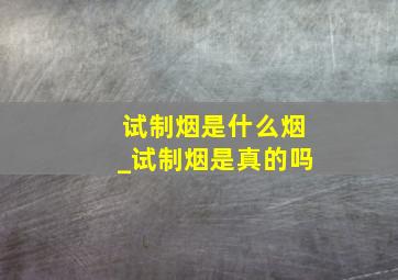 试制烟是什么烟_试制烟是真的吗