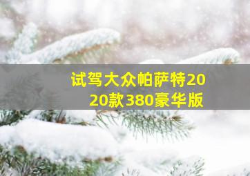 试驾大众帕萨特2020款380豪华版