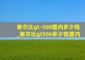 谢尔比gt-500国内多少钱_谢尔比gt500多少钱国内