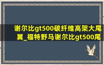 谢尔比gt500碳纤维高架大尾翼_福特野马谢尔比gt500尾翼