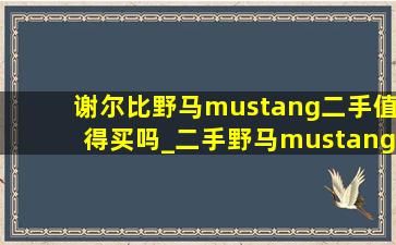 谢尔比野马mustang二手值得买吗_二手野马mustang值不值得买