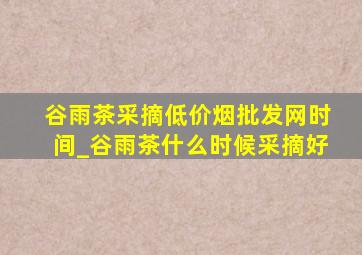 谷雨茶采摘(低价烟批发网)时间_谷雨茶什么时候采摘好