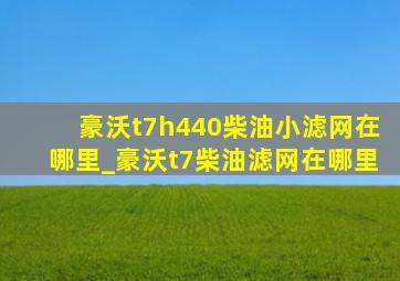 豪沃t7h440柴油小滤网在哪里_豪沃t7柴油滤网在哪里