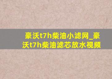 豪沃t7h柴油小滤网_豪沃t7h柴油滤芯放水视频