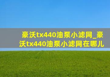 豪沃tx440油泵小滤网_豪沃tx440油泵小滤网在哪儿