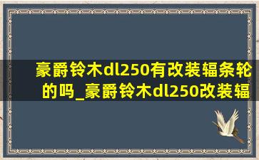 豪爵铃木dl250有改装辐条轮的吗_豪爵铃木dl250改装辐条轮合法吗