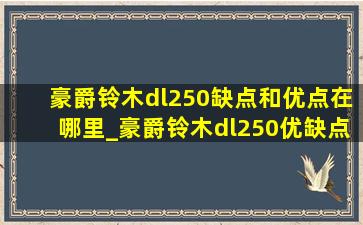 豪爵铃木dl250缺点和优点在哪里_豪爵铃木dl250优缺点