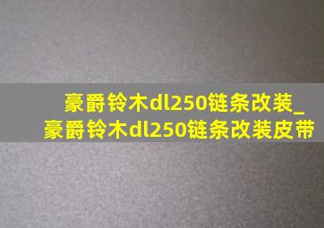 豪爵铃木dl250链条改装_豪爵铃木dl250链条改装皮带