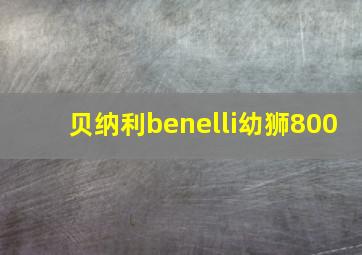 贝纳利benelli幼狮800