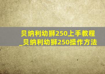 贝纳利幼狮250上手教程_贝纳利幼狮250操作方法