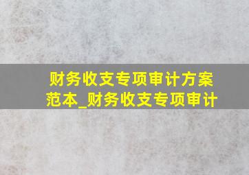 财务收支专项审计方案范本_财务收支专项审计