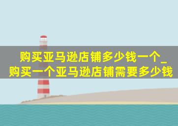 购买亚马逊店铺多少钱一个_购买一个亚马逊店铺需要多少钱