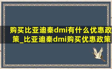 购买比亚迪秦dmi有什么优惠政策_比亚迪秦dmi购买优惠政策