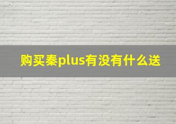 购买秦plus有没有什么送