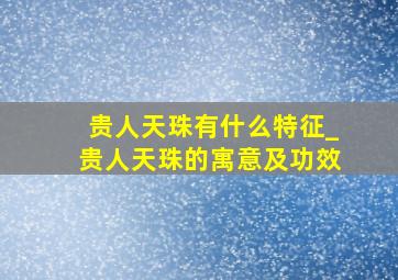 贵人天珠有什么特征_贵人天珠的寓意及功效