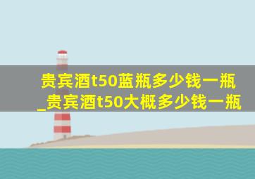 贵宾酒t50蓝瓶多少钱一瓶_贵宾酒t50大概多少钱一瓶