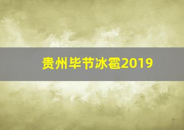 贵州毕节冰雹2019