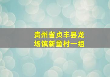 贵州省贞丰县龙场镇新童村一组