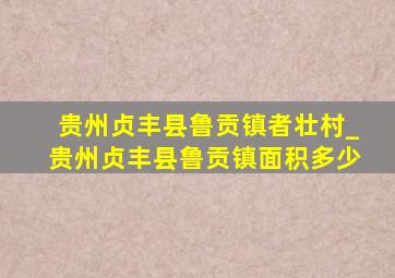 贵州贞丰县鲁贡镇者壮村_贵州贞丰县鲁贡镇面积多少