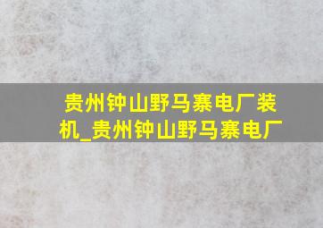 贵州钟山野马寨电厂装机_贵州钟山野马寨电厂