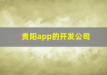 贵阳app的开发公司