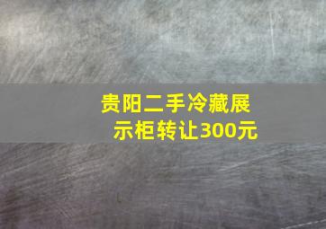 贵阳二手冷藏展示柜转让300元