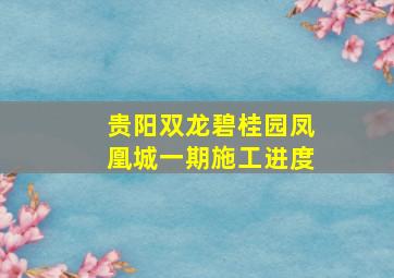 贵阳双龙碧桂园凤凰城一期施工进度