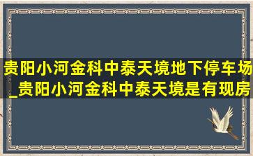 贵阳小河金科中泰天境地下停车场_贵阳小河金科中泰天境是有现房吗