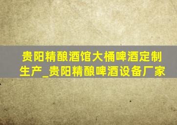 贵阳精酿酒馆大桶啤酒定制生产_贵阳精酿啤酒设备厂家