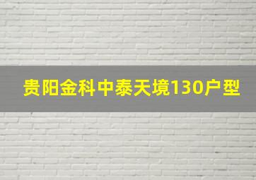 贵阳金科中泰天境130户型