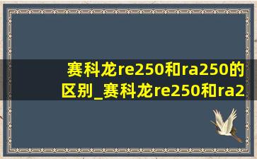 赛科龙re250和ra250的区别_赛科龙re250和ra250区别