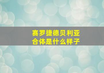 赛罗捷德贝利亚合体是什么样子