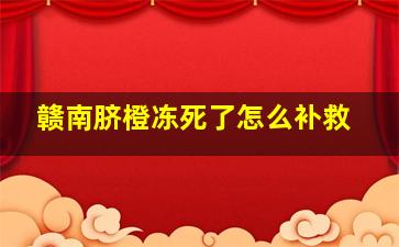 赣南脐橙冻死了怎么补救