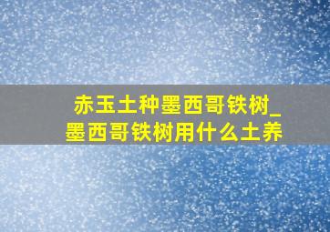 赤玉土种墨西哥铁树_墨西哥铁树用什么土养