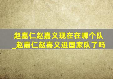 赵嘉仁赵嘉义现在在哪个队_赵嘉仁赵嘉义进国家队了吗