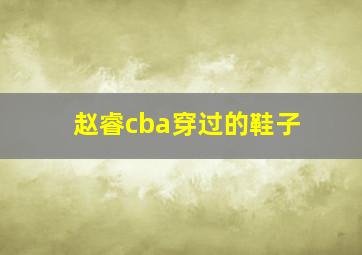 赵睿cba穿过的鞋子