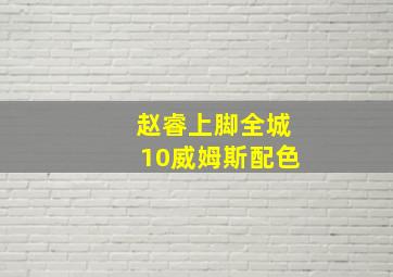 赵睿上脚全城10威姆斯配色