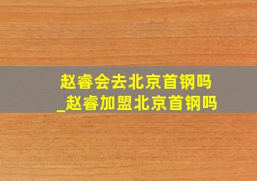 赵睿会去北京首钢吗_赵睿加盟北京首钢吗