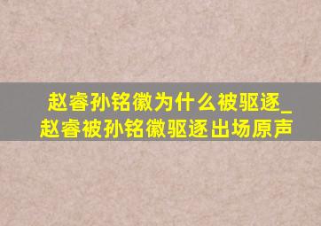 赵睿孙铭徽为什么被驱逐_赵睿被孙铭徽驱逐出场原声