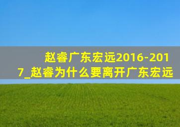 赵睿广东宏远2016-2017_赵睿为什么要离开广东宏远