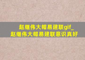 赵继伟大帽易建联gif_赵继伟大帽易建联意识真好