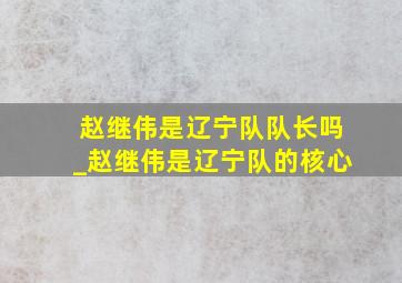 赵继伟是辽宁队队长吗_赵继伟是辽宁队的核心