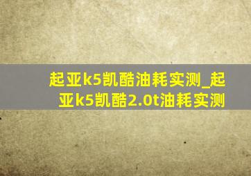 起亚k5凯酷油耗实测_起亚k5凯酷2.0t油耗实测