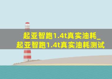 起亚智跑1.4t真实油耗_起亚智跑1.4t真实油耗测试