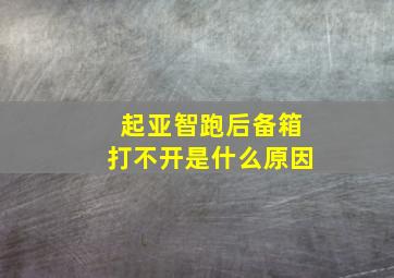 起亚智跑后备箱打不开是什么原因