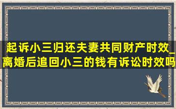 起诉小三归还夫妻共同财产时效_离婚后追回小三的钱有诉讼时效吗